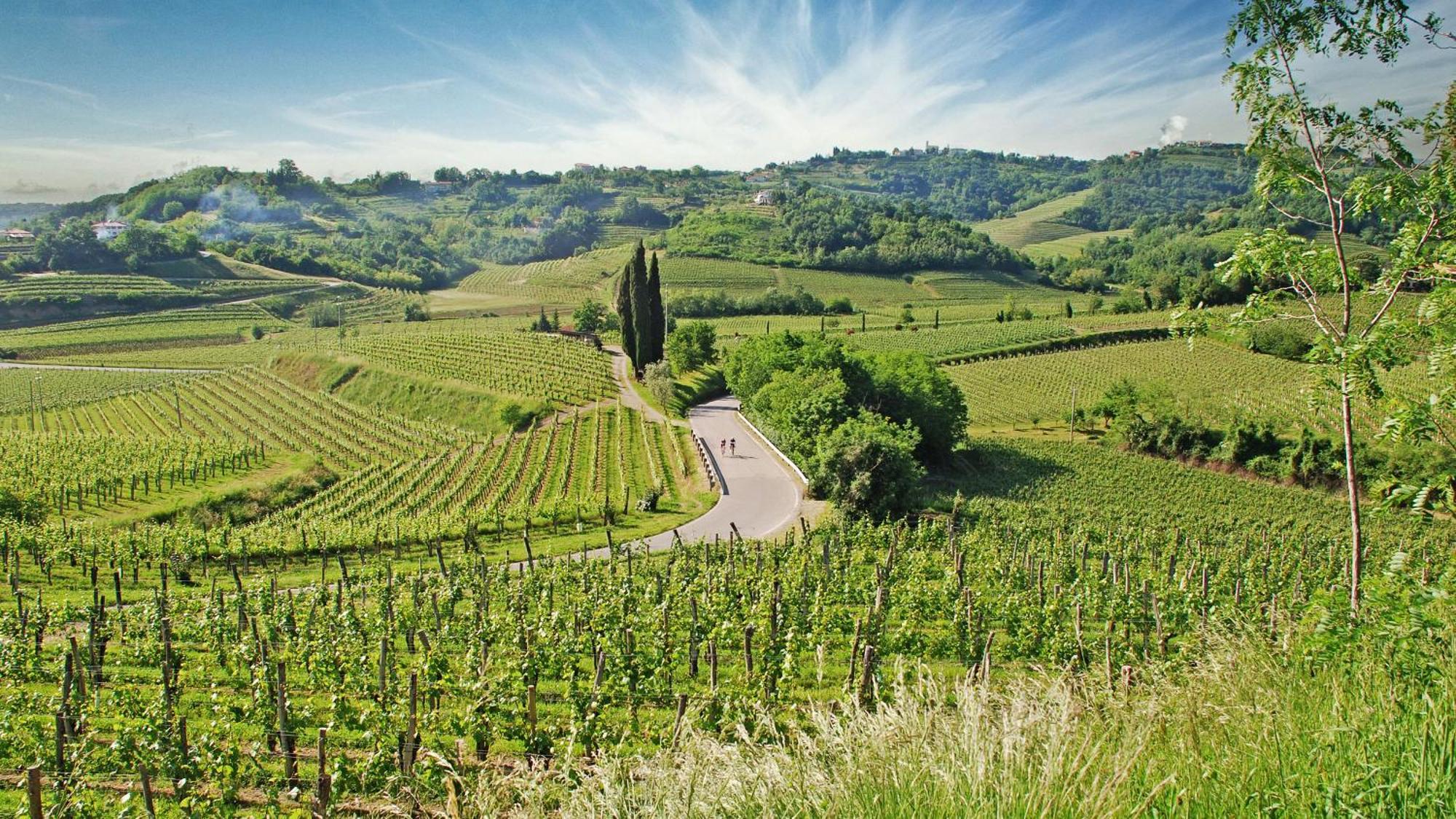 Appartamento Fana Estate Dobrovo Esterno foto